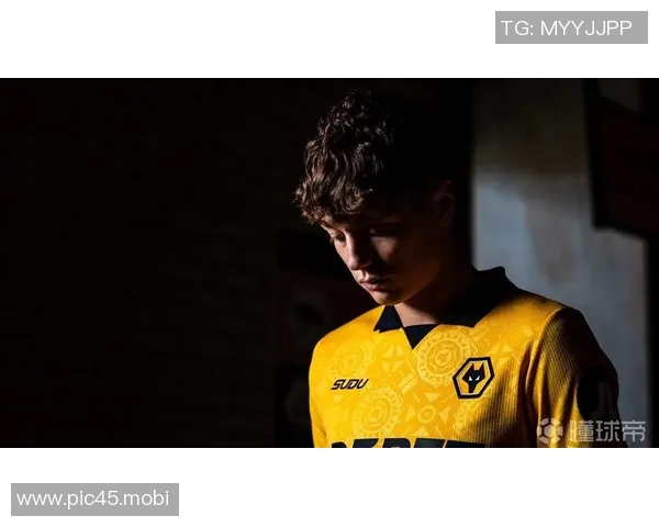 解说：克雷伊奇的加入不影响杨瀚森 后者和罗威的竞争更直接